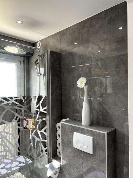 וינצנהיים Superbe Appartement Lumineux Avec Parking Gratuit מראה חיצוני תמונה